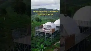 Unique Dome stay in between tea estate 😍