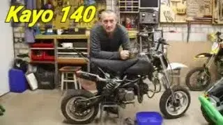 Kayo 140. Часть 2: помойный кот.