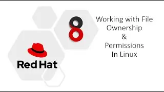 Linux File Ownership & Permissions Commands with Example