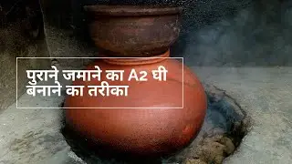 पुराने जमाने में A2 घी ऐसे बनता था|| How was A2 ghee made in olden times|| वैदिक घी||