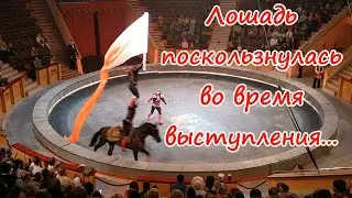 Такого ЦИРКА вы еще не видели! | Лучшие цирковые номера сезона | Гомельский цирк | Гомель 2020