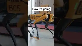 The next step for Spot 