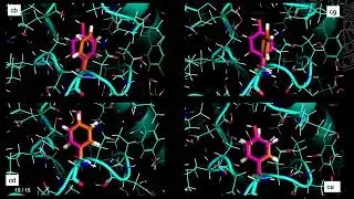 Lucien Koenekoop   QresFEP v2 0   hybrid topology in silico mutagenesis