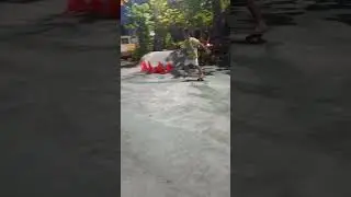 5 years old boy skate