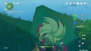 Genshin Impact Hyperbloom Party (Alhaitham Main)