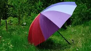 'Rain and Tears' mp4