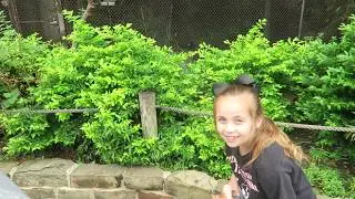 Houston Zoo! Late VLog!