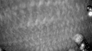 RMS BR0012 20240127 210644 413114 timelapse