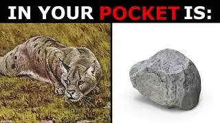 Floppa Becoming Old  (IN YOUR POCKET IS)