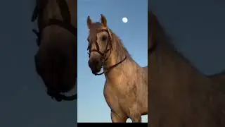 Мужество и подлость по наследству.