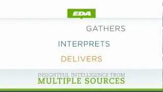EDA Insight