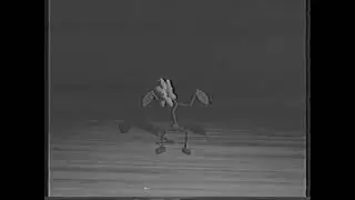 (REUPLOAD) RESTRICTED_Experimental1.mp4
