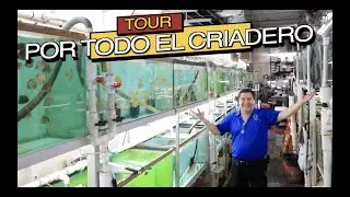 THE MOST FAMOUS FISH FARM IN THE WORLD||||||😮🐟🐠