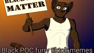Black POC furry tiktok memes