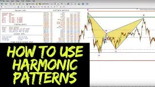 How Best to Use Harmonic Patterns in Forex 👍