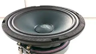 Deaf bonce apocalypse ap-m60s Sylvester