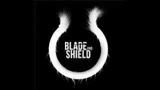 Первый публичный созвон команды проекта Blade&Shield