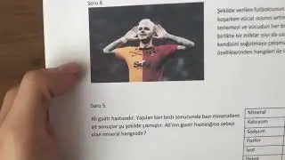 9.  Sınıf Biyoloji Yeni Yazılı Sistemi 1. Dönem 1. Yazılı