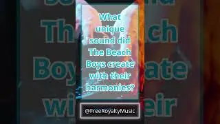 Shorts Beach Boys - 