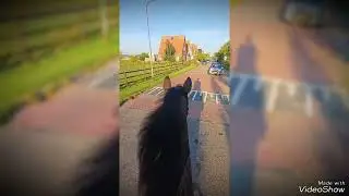 buiten-rit twiske
