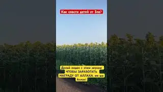 Призыв к единобожию! 