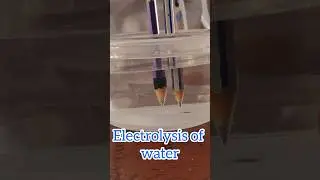 #electrolysis⚡️of #water 💧  #science #experiment #ytshorts #youtubeindia #practical