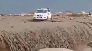 Прадо доказала своё