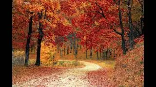 RELAXING DEEP AMBIENT POWERFUL MUSIC MIX
