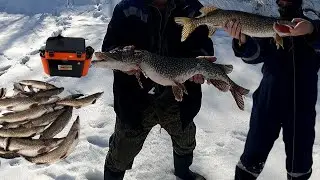 The BEST Winter Fishing Experience 🐊🎣