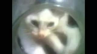 КТО В БАНОЧКЕ ЖИВЁТ?