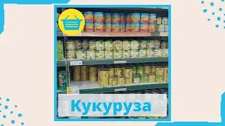 Кукуруза