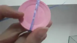 KALIPSIZ KOKULU TAŞ KOLEKSİYONUM/HOBİ