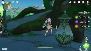 Precious chest in sumeru city Genshin Impact