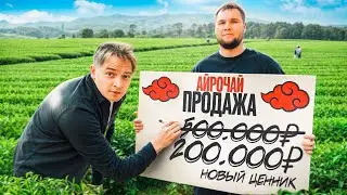 Чайная франшиза за 200 тысяч. Прибыльнее кофейни?