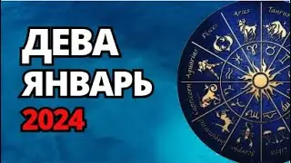 ДЕВА. ЯНВАРЬ 2024. Шадель Уилсон.