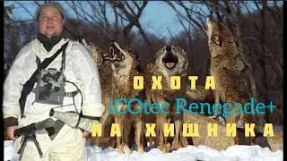 Охота на хищника с электронным манком iCOtec