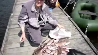 Рыбалка на Аятке много леща