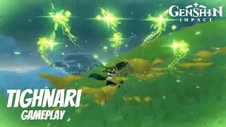 Tighnari Gameplay | Charged Attack, Elemental Skill and Burst | Genshin Impact