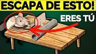 ✅6 HÁBITOS FINANCIEROS para ESCAPAR de la CARRERA de la RATA🐭 y tener DINERO