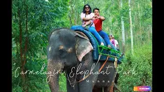Carmelagiri elephant park riding idukki munnar | kerala tourist places to visit | kannan devan hills