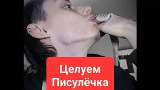 Целуем Писулёчка