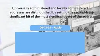 Layer 2 Detailed Overview