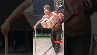 AWAS SIMBAH JALAN #shorts #reog #jaranan #viralvideo