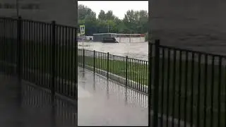 25 июня 2024 г.