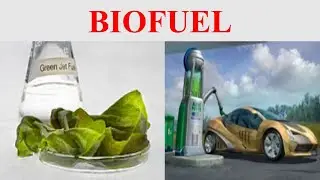 Biofuel