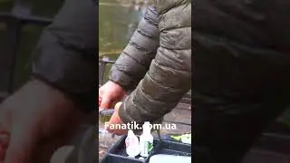 Огромный Линь на удочку
