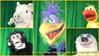 The Lion Sleeps Tonight by Silly Sally