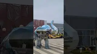 11 мая 2024 г.