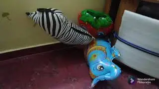Zebra, lion, strawberry, elephant and horse foil balloons ... reaction to ceiling fan 😀