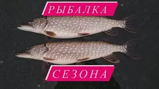 Ловля  ЩУКИ на ЖЕРЛИЦЫ.ЗИМНЯЯ РЫБАЛКА НА ДНЕПРЕ.